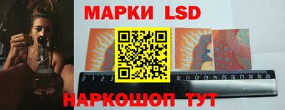 стаф Будённовск